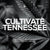 Who is Cultivate TN?