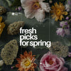 Fresh Picks for Spring: A Look Inside March’s 420 Box