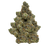 Exotic THCA flower available to buy online with fast, discreet delivery — high-quality, frosty buds shown ready for shipping.