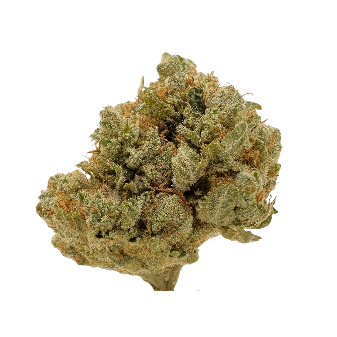 92 OG sativa strain with spicy coffee-lemon flavor, sticky amber trichomes, and heavy, couch-locking OG effects.