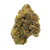B16 Exotic Indica THCa Flower by Botanical Bliss x Lifted & Gifted — blueberry and vanilla flavors with euphoric, sedating effects. Shop THCa strains shipped fast from Consider It Flowers.