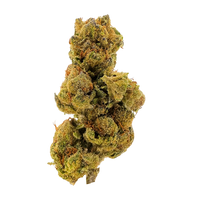 Shop Blue Dream Premium Sungrown THCa Flower Sativa strain online with fast delivery and same-day Nashville shipping options.