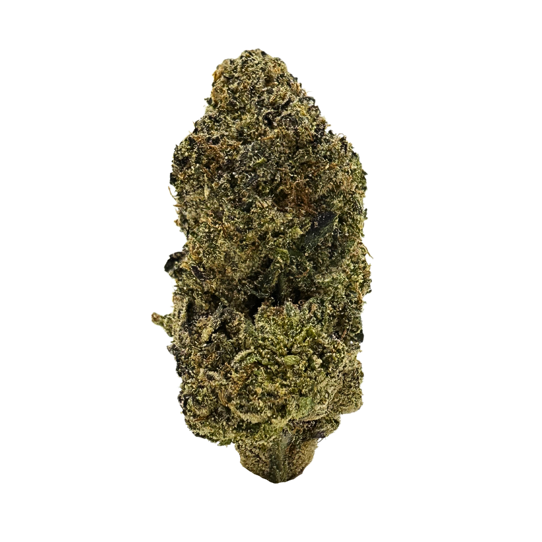 Blue Gelatti exotic THCa flower nug – sativa strain with fruity, gassy flavor and uplifting cerebral effects, available now at Consider It Flowers.
