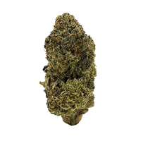 Blue Gelatti exotic THCa flower nug – sativa strain with fruity, gassy flavor and uplifting cerebral effects, available now at Consider It Flowers.