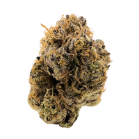 Close-up of GMO Exotic Private Reserve Indica THCa flower strain showcasing frosty trichomes, purple hues, and fiery orange hairs – shop now at Consider It Flowers.