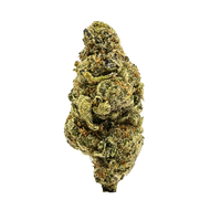 Gelonade exotic sativa THCa flower – bright green dense bud with citrus and vanilla flavor and euphoric, sociable effects.