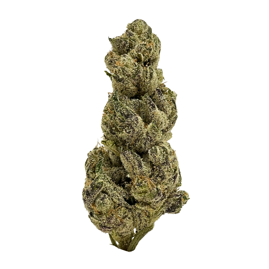 Glazed Donut hybrid strain with frosty dark green buds, orange hairs, and bold garlic-vanilla flavor. Shop now at Consider It Flowers.