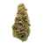 Gorilla Cookies Premium Sativa THCa Flower Strain – spicy herbal cookie flavor, uplifting creative effects. Get THCa flower shipped by Consider It Flowers.
