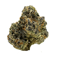 Guava Belts cannabis buds with tropical aroma and fruity flavor, showcasing dense green nugs and bright orange hairs.