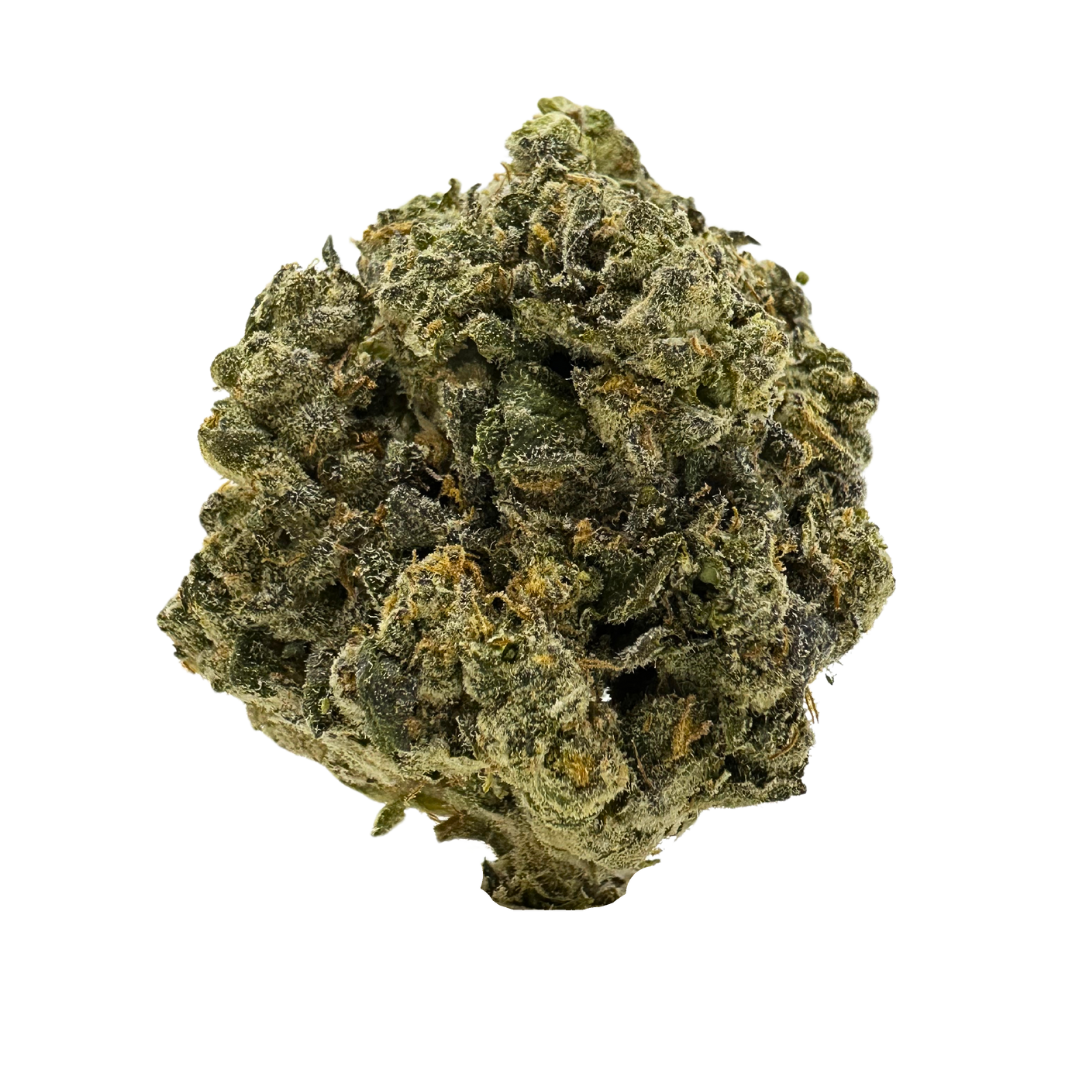 Frosty hybrid THCa flower LAX with colorful trichomes and citrus-pine aroma – shop this West Coast strain now at Consider It Flowers.