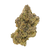 Lemon Headz Private Reserve Exotic Sativa THCa Flower Strain – tangy lemon flavor and uplifting effects. Get THCa flower shipped by Consider It Flowers.