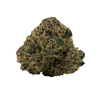 Frosty Northern Lights bud with deep green, purple hues and orange hairs, coated in shimmering trichomes.