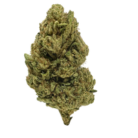 Pineapple Tropicana Premium THCa Flower (24%)