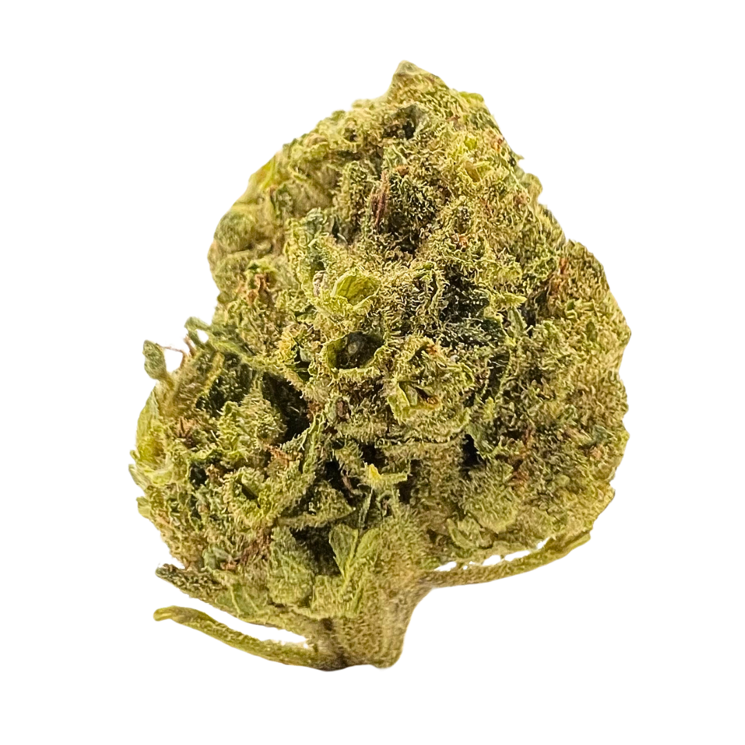 Light green, compact bud with wispy orange hairs and a thick coating of shimmering white trichomes.