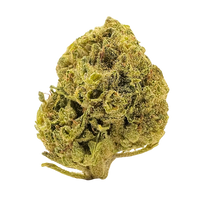 Light green, compact bud with wispy orange hairs and a thick coating of shimmering white trichomes.