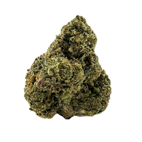 Chunky, bright green bud with dense structure, amber pistils, and a thick coat of frosty white trichomes.