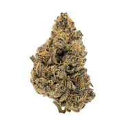 Sunset Sorbet Exotic Private Reserve indica — frosty, sticky buds with sweet citrus and berry aroma. Shop now at Consider It Flowers.