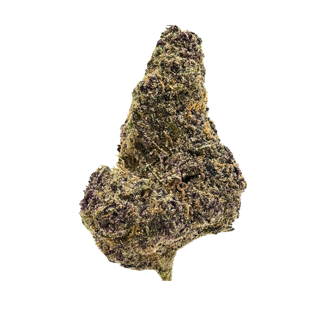 Purple-hued THCA flower bud with amber hairs and heavy trichome coverage – shop Super Boof for fruity flavor and hybrid effects.