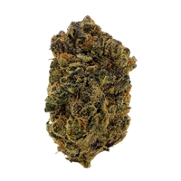 Super Sonic Exotic Private Reserve Sativa THCA Flower — sweet tropical citrus aroma, uplifting energy, buy THCA flower online today for fast shipping.
