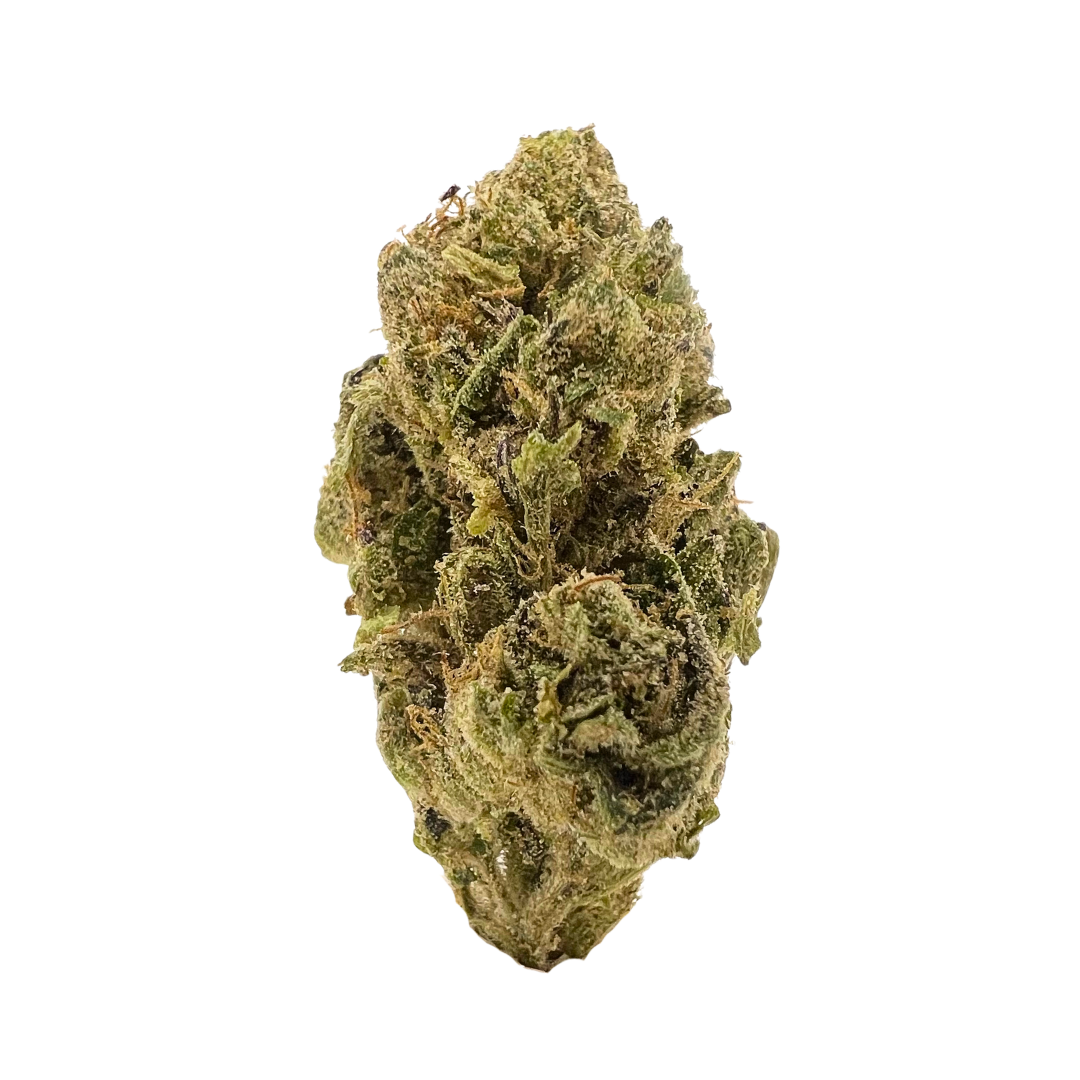 Trainwreck premium sativa flower with frosty green buds, pine-citrus aroma, and uplifting euphoric effects.