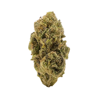 Trainwreck premium sativa flower with frosty green buds, pine-citrus aroma, and uplifting euphoric effects.
