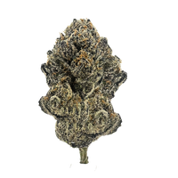 Watermelon Gumdrop strain features olive green and deep purple buds, coated in trichomes, with a sweet, floral, and slightly spicy aroma.