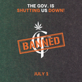 Consider It Flowers Is Shutting Down: Tennessee’s New Cannabis Law Bans Online Sales, Delivery, and THCa Products