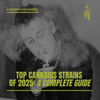 Top Cannabis Strains of 2025: A Complete Guide