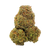 Premium THCA flower available to buy online with fast, discreet delivery — high-quality, frosty buds shown ready for shipping.