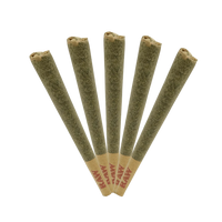5-pack of Alaskan Thunder Fuck THCa prerolls—1g each, packed with sativa flower and bold diesel, citrus, and spice flavor. 