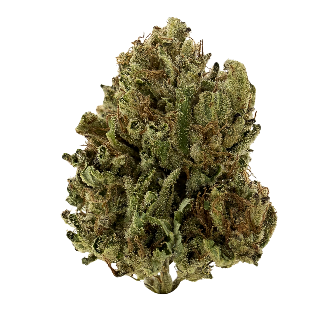 Applescotti hybrid strain with purple-green buds and heavy trichomes. Shop THCa flower online with shipping and Nashville delivery.