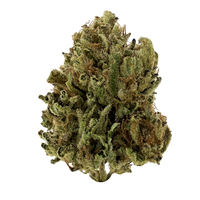 Applescotti hybrid strain with purple-green buds and heavy trichomes. Shop THCa flower online with shipping and Nashville delivery.