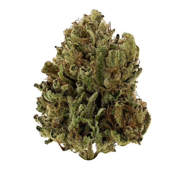 Applescotti Premium THCa Flower (32%)