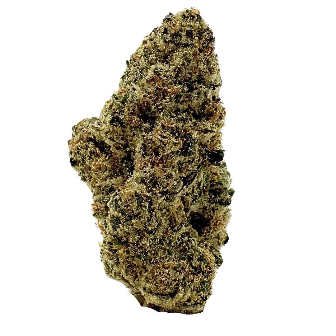 Astro Candy exotic indica THCa flower with dense light green buds, orange hairs, and golden trichomes. Shop online with shipping and Nashville delivery.