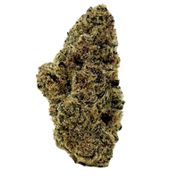 Astro Candy exotic indica THCa flower with dense light green buds, orange hairs, and golden trichomes. Shop online with shipping and Nashville delivery.