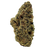 Astro Candy exotic indica THCa flower with dense light green buds, orange hairs, and golden trichomes. Shop online with shipping and Nashville delivery.