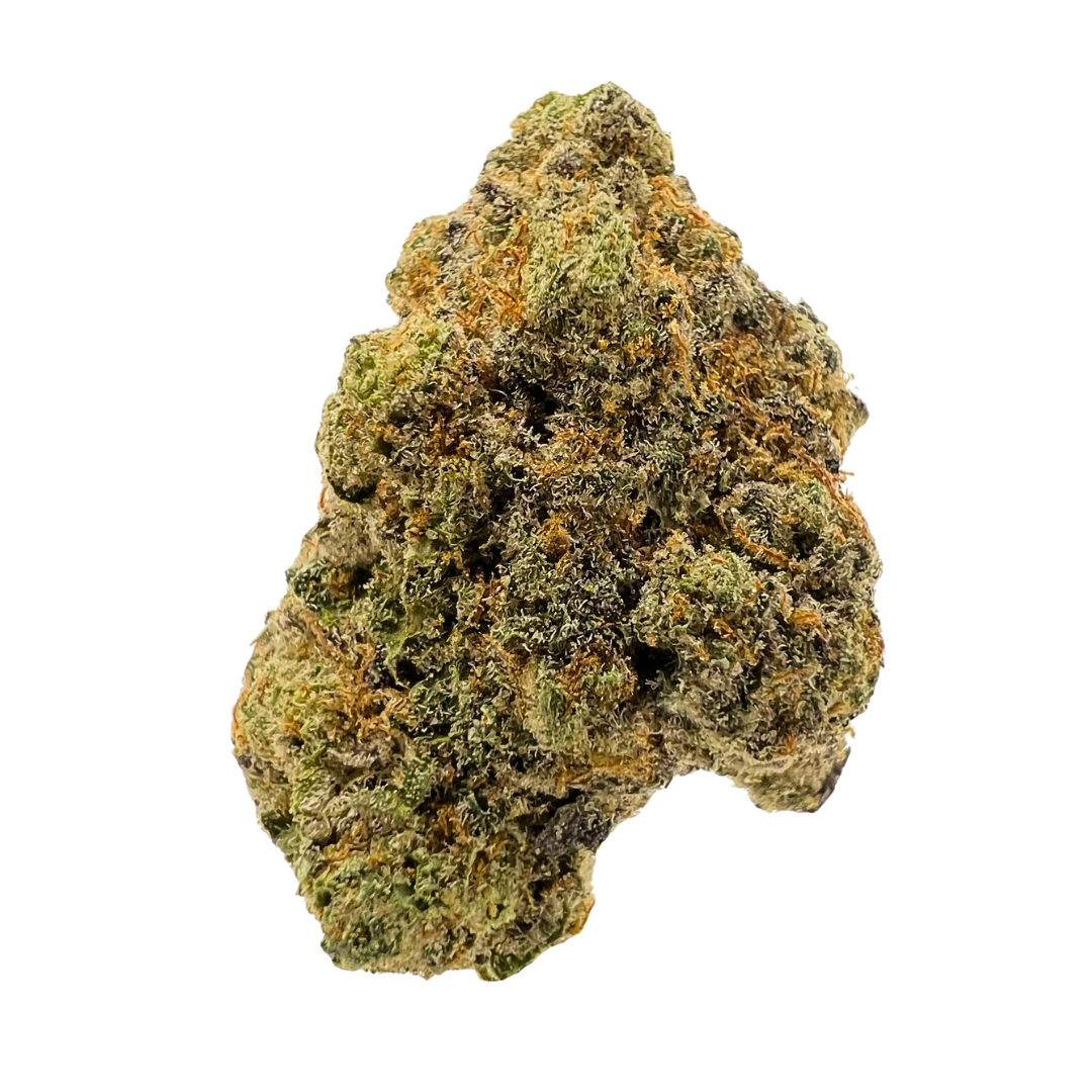 B16 Exotic Indica THCa Flower by Botanical Bliss x Lifted & Gifted — blueberry and vanilla flavors with euphoric, sedating effects. Shop THCa strains shipped fast from Consider It Flowers.