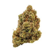 Biscotti Sungrown Premium THCa Indica flower with dense frosty buds and sweet cookie aroma. Shop THCa flower strain delivery at Consider It Flowers.