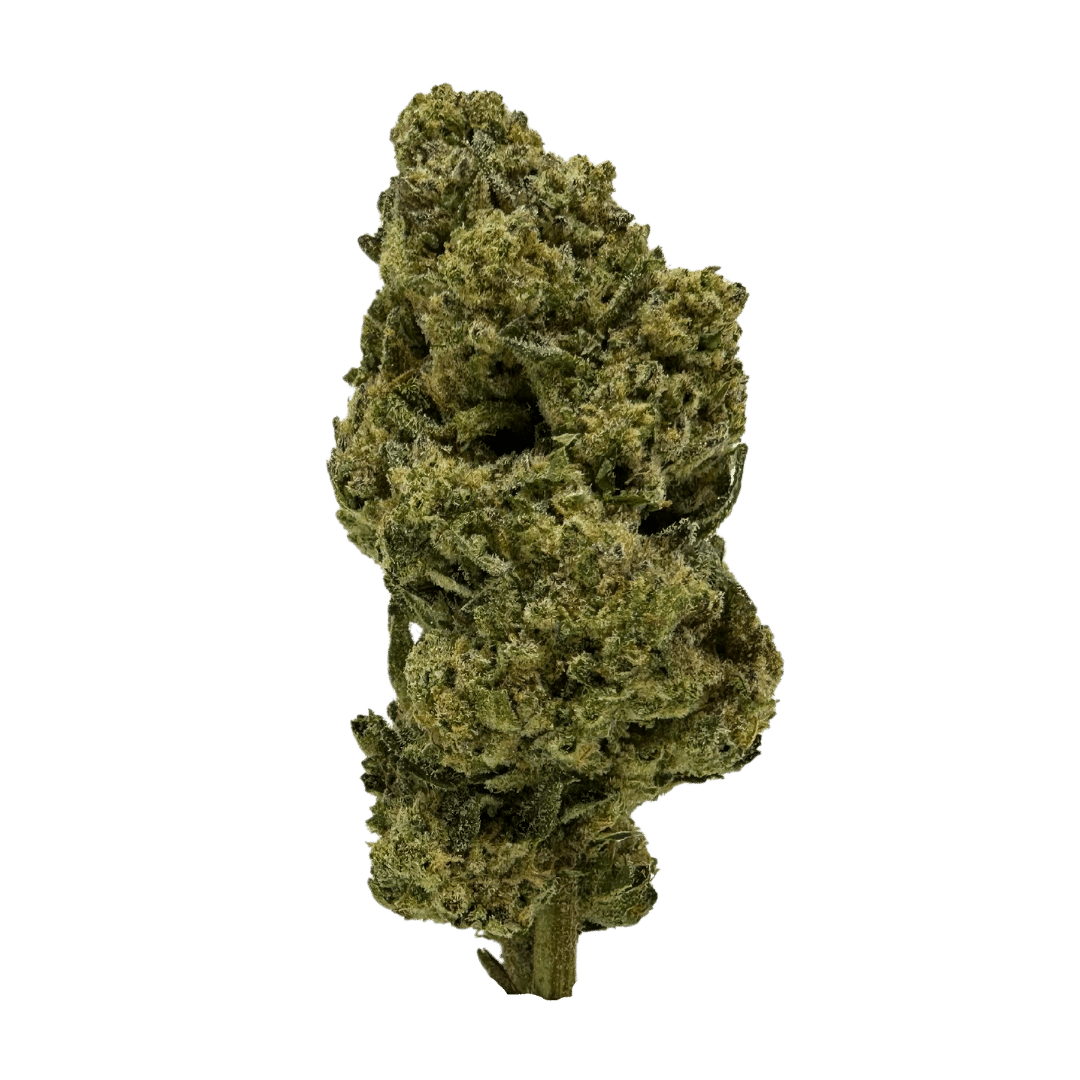 Black Ice strain: grassy, floral indica with sedative powers. Combines Black Domina's relaxation with Ice’s chill euphoria.