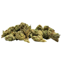 Premium Smalls Black Garlic Gelato THCA flower showing dense lime-green buds with crystalline trichomes.  