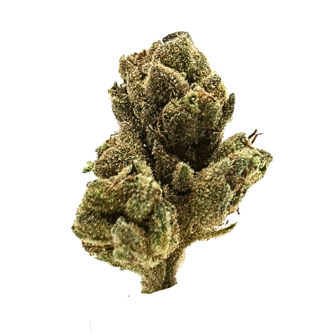 Premium Smalls Black Garlic Gelato cannabis flower close-up displaying heavy trichome coverage and orange pistils. 