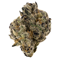 Black Top Gelato hybrid strain with frosty dark purple buds. Shop THCa flower online with shipping and Nashville delivery