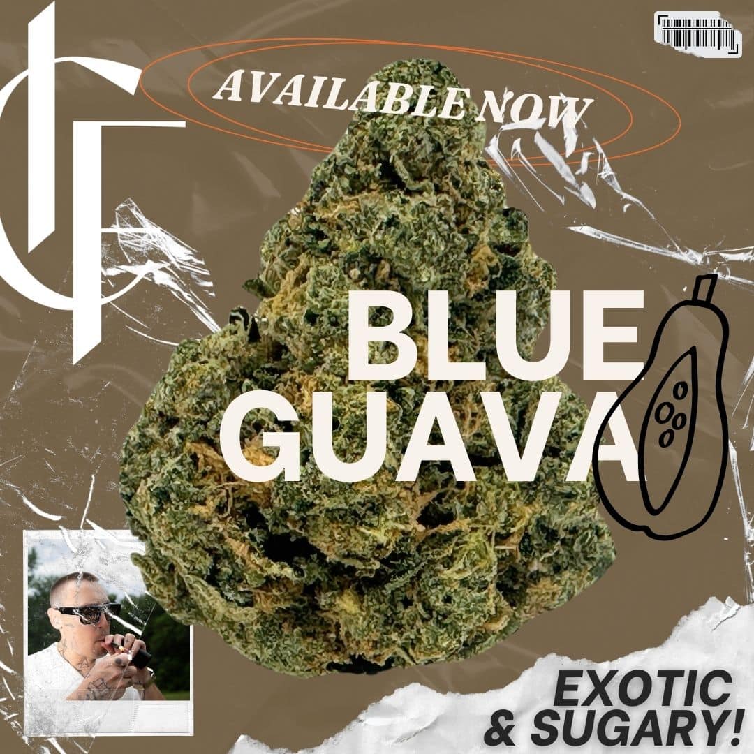 Blue Guava Exotic THCa Flower (34%)