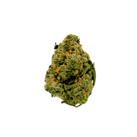 Blue Iguana: exotic strain with sweet and sour blueberry flavor. Uplifting, relaxing effects. Perfect for social events. Shop now!