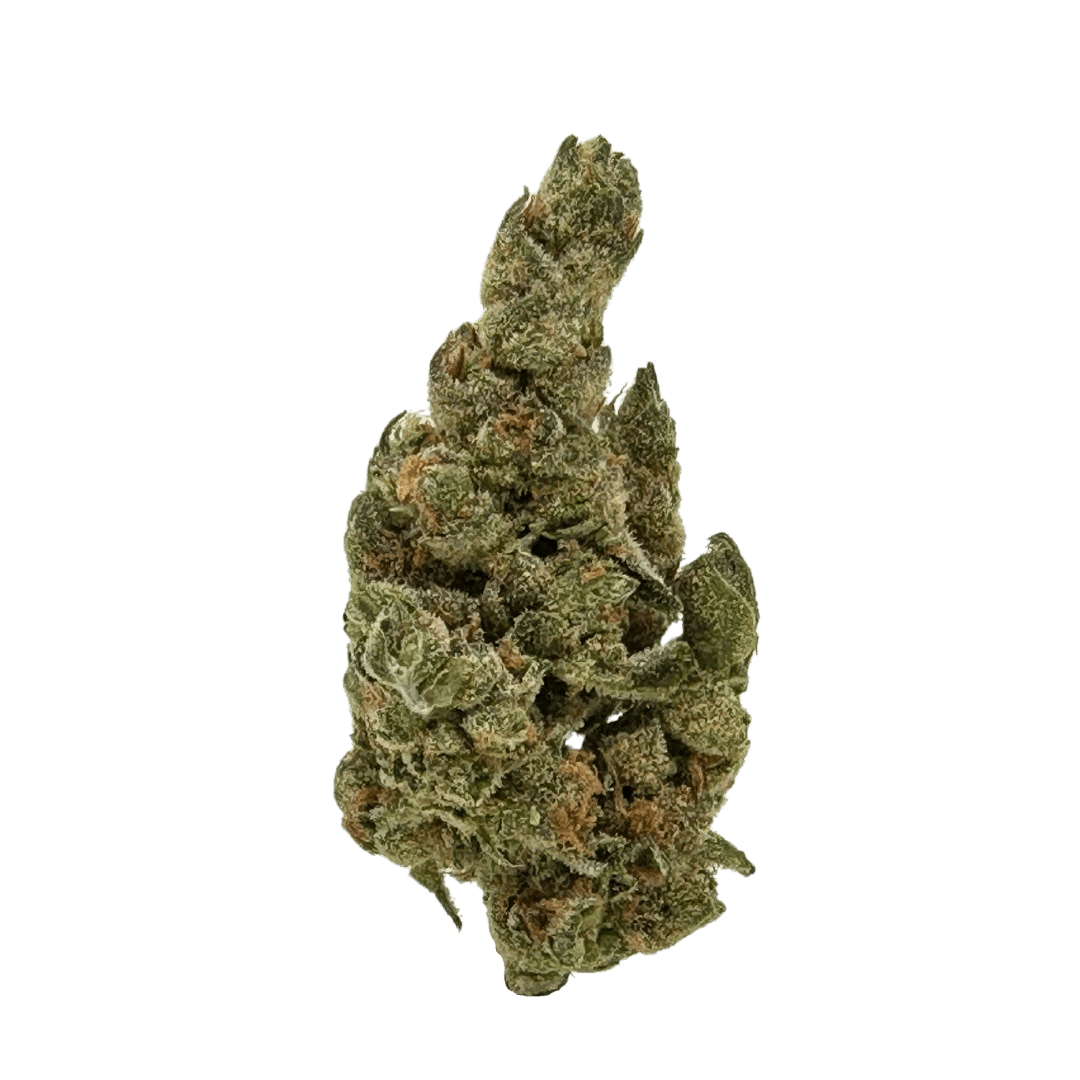 A cross of Blueberry, Northern Lights, and Skunk. Sweet blueberry and honey flavors with a skunky punch. Feather-shaped, crystal-coated nugs.