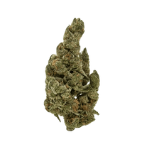 A cross of Blueberry, Northern Lights, and Skunk. Sweet blueberry and honey flavors with a skunky punch. Feather-shaped, crystal-coated nugs.