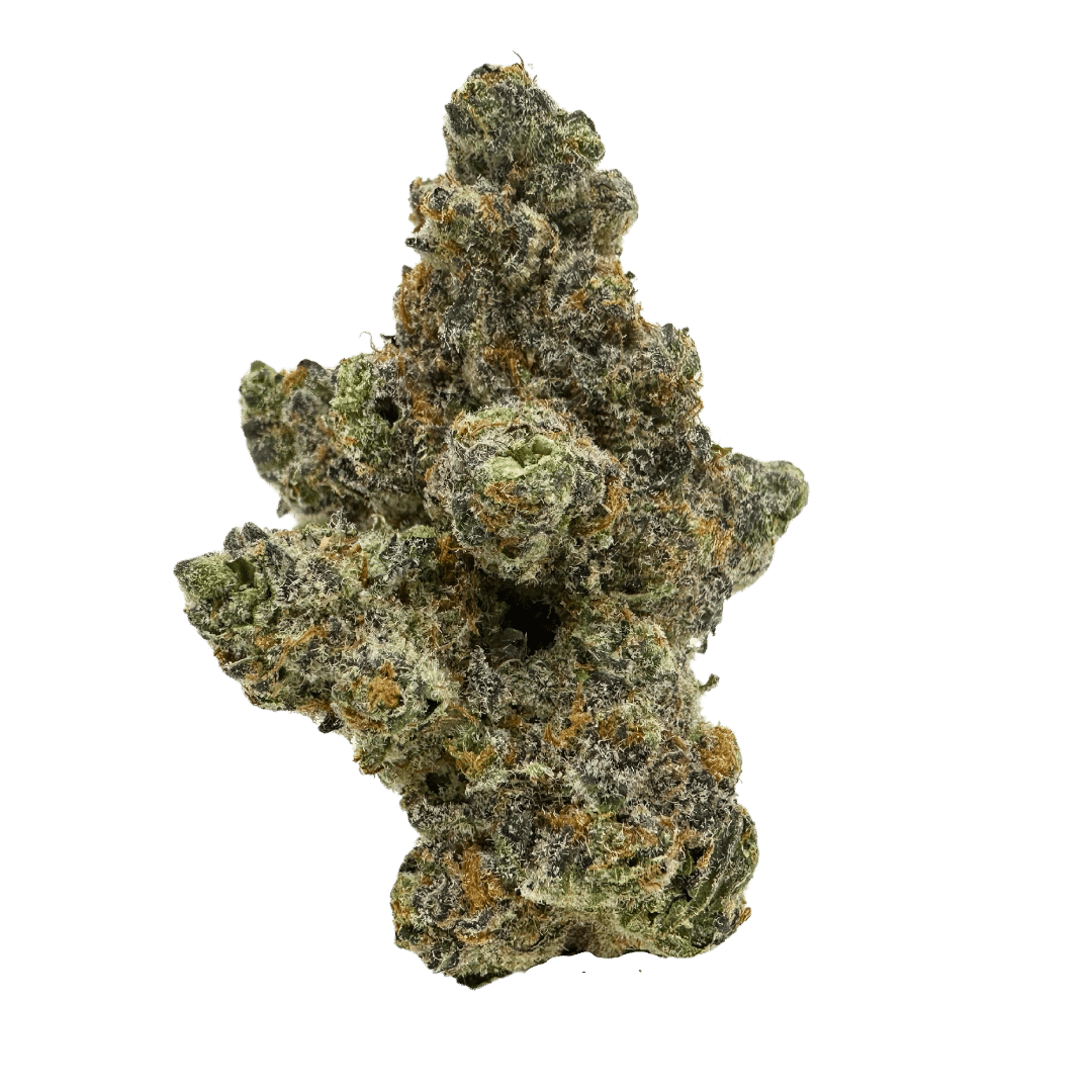 Exotic Blue Sunset Sherbert THCA flower showing dense, resinous buds with blue and green hues