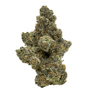 Exotic Blue Sunset Sherbert THCA flower showing dense, resinous buds with blue and green hues