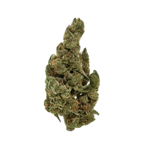 Blue Berry Haze premium THCa flower by BBXLG with ripe blueberry, sweet citrus, tropical fruit, earthy herbs, pine, and light spice sativa flavor notes

