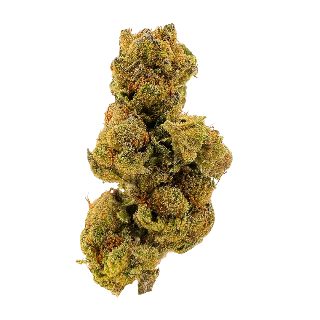 Shop Blue Dream Premium Sungrown THCa Flower Sativa strain online with fast delivery and same-day Nashville shipping options.
